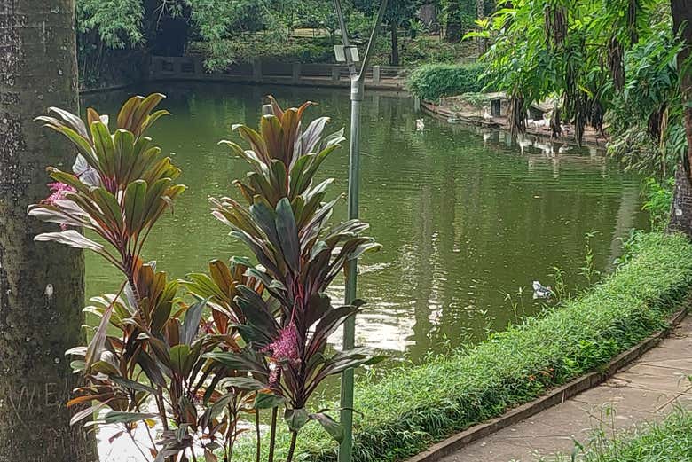 Tour privado por el Parque Municipal, el Palacio de las Artes y la Catedral