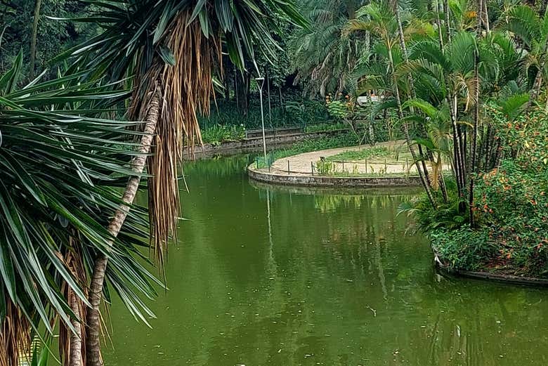 Tour privado por el Parque Municipal, el Palacio de las Artes y la Catedral