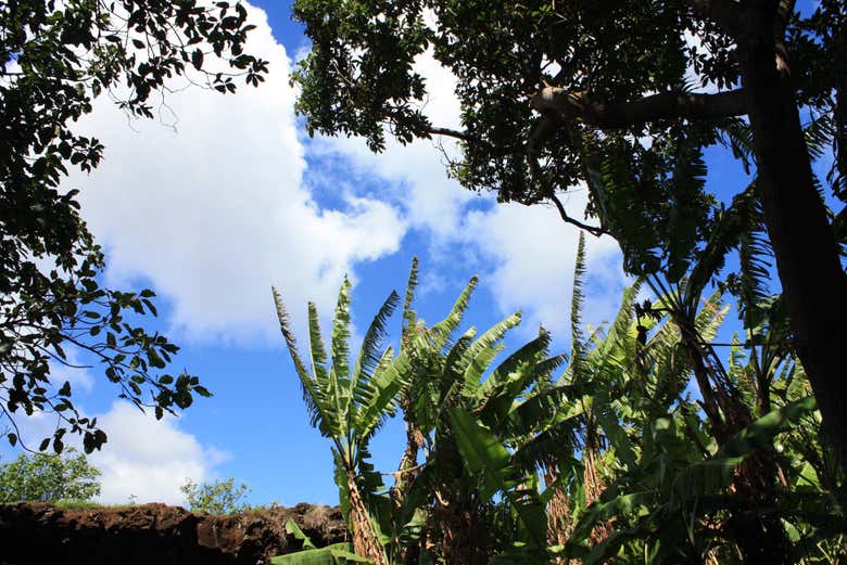 Excursión a Rano Kau, Orongo, Vinapu y Ahu Akivi
