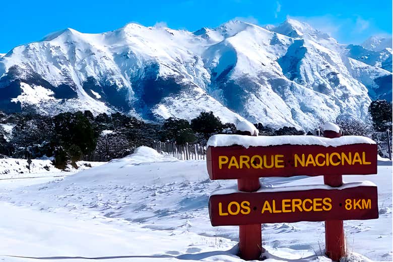 Excursión al Parque Nacional de Los Alerces y el lago Menéndez