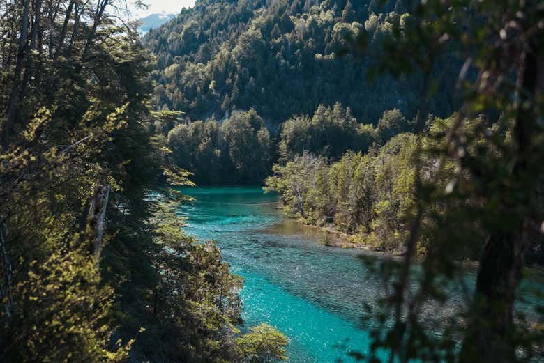 Excursión al Parque Nacional de Los Alerces y el lago Menéndez