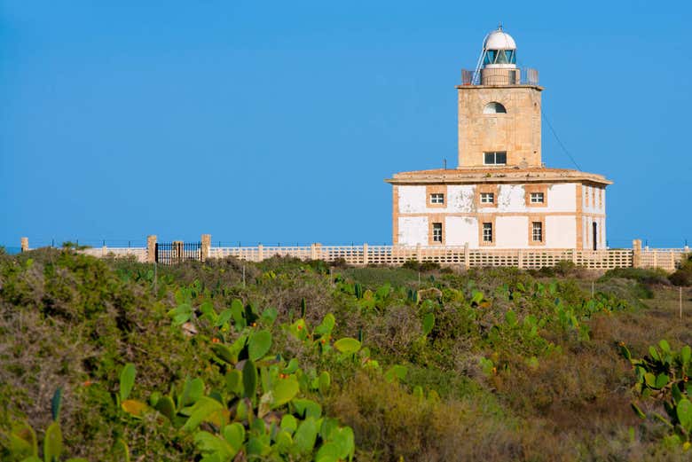 Excursión a Tabarca, Santa Pola y la laguna Rosa de Torrevieja