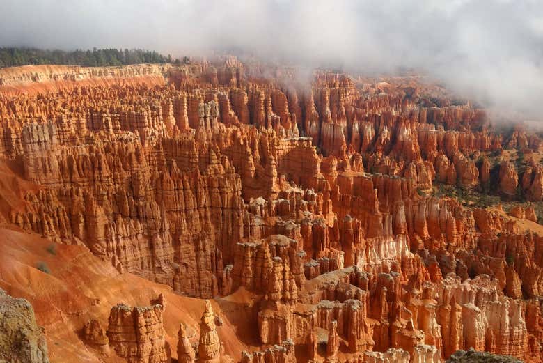 Tour por el Cañón Bryce