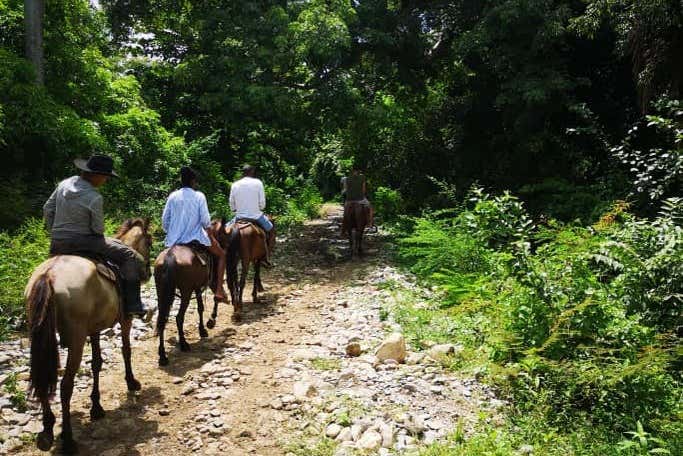 Excursión a caballo a la cascada El Pilón
