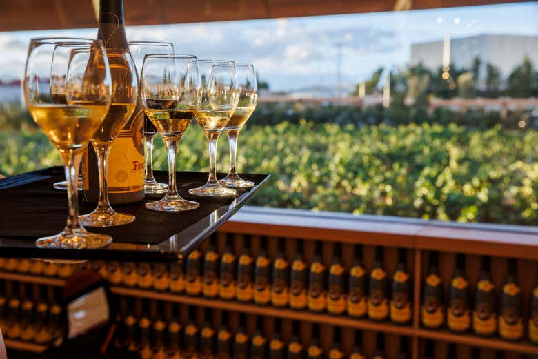 Visita a las Bodegas Faustino