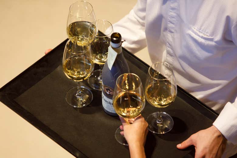 Visita a las Bodegas Faustino