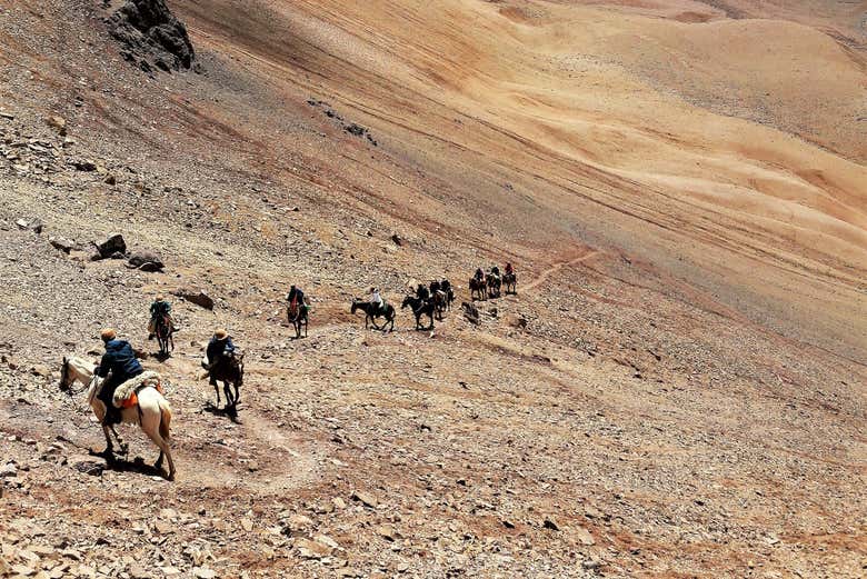 Cruce de los Andes a caballo en 8 días - Galería 2