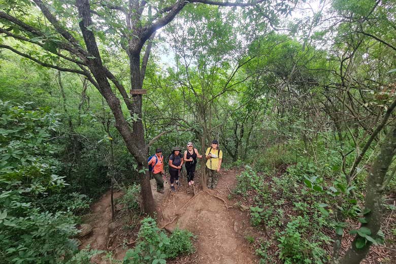 Senderismo por el Cerro de La Silla o del Chupón - Galería 1