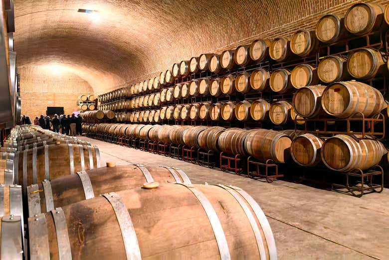 Excursión a Bernal y Cadereyta + Visita a la bodega Freixenet