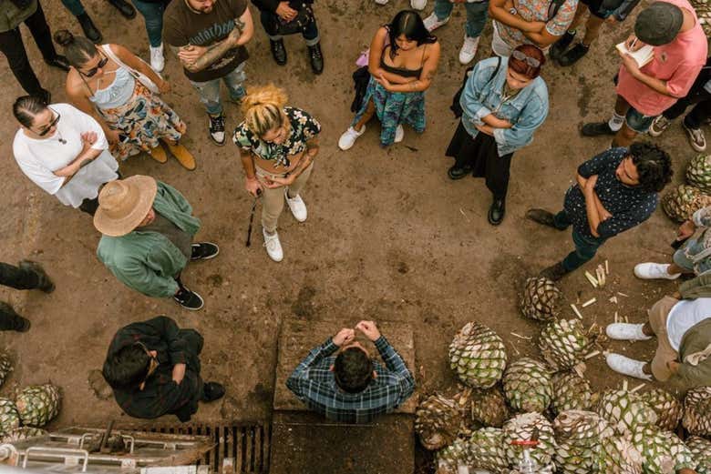 Visita a las destilerías Tequila Selecto y El Cascahuín - Galería 1