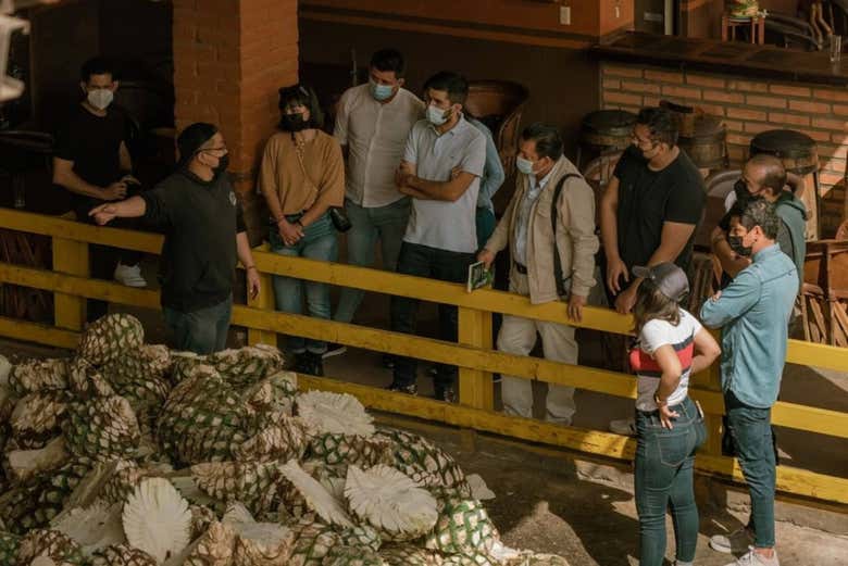 Visita a las destilerías Tequila Selecto y El Cascahuín - Galería 2