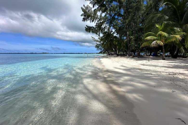 Excursión a Water Cay en lancha