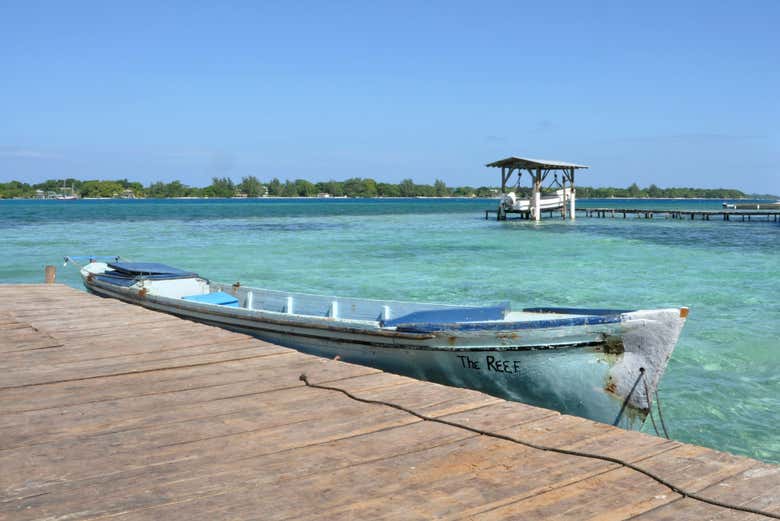 Excursión a Water Cay en lancha