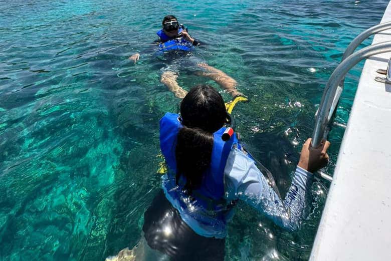 Snorkel en Útila