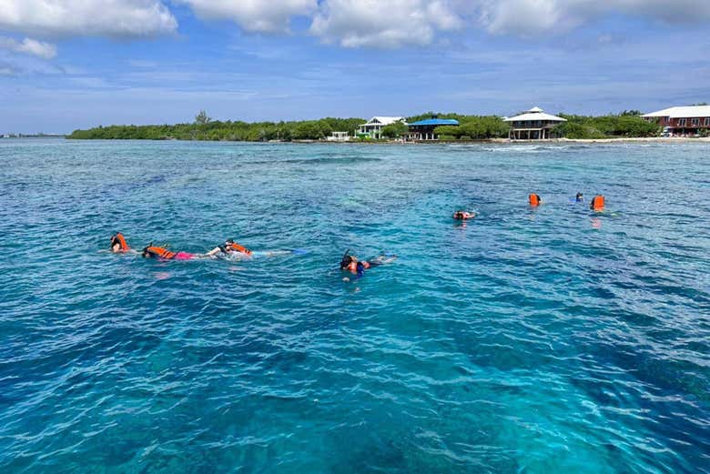 Snorkel en Útila