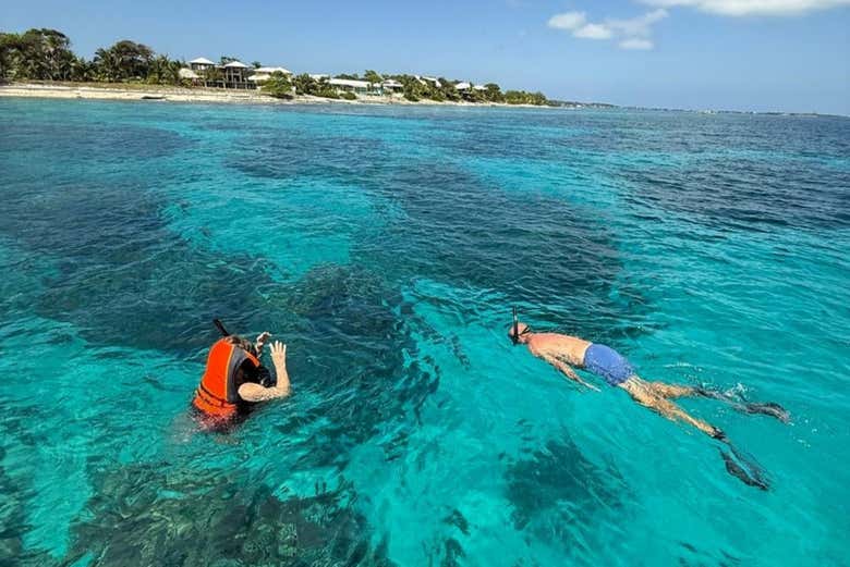 Snorkel en Útila