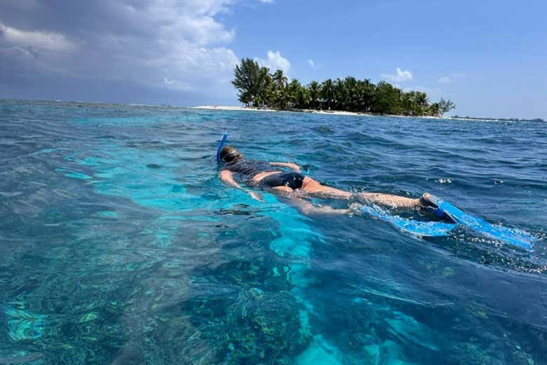 Snorkel en Útila