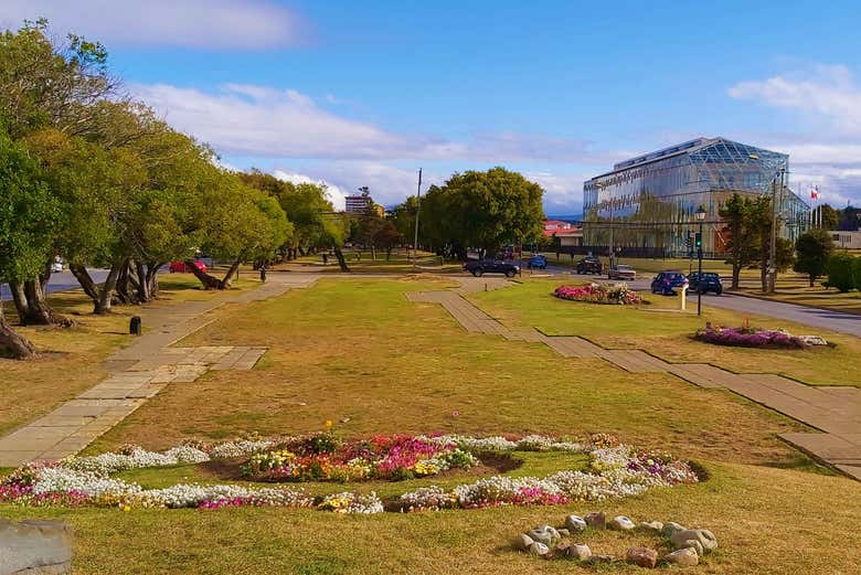 Tour por Punta Arenas para cruceros