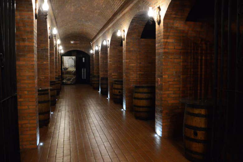 Excursión a São João Batista, Nova Trento y Brusque