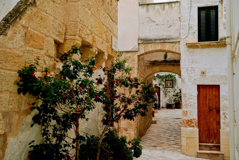 Excursión a Polignano a Mare + Paseo en barco
