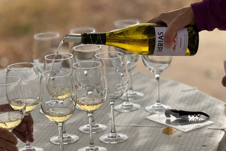 Visita a la bodega Idrias