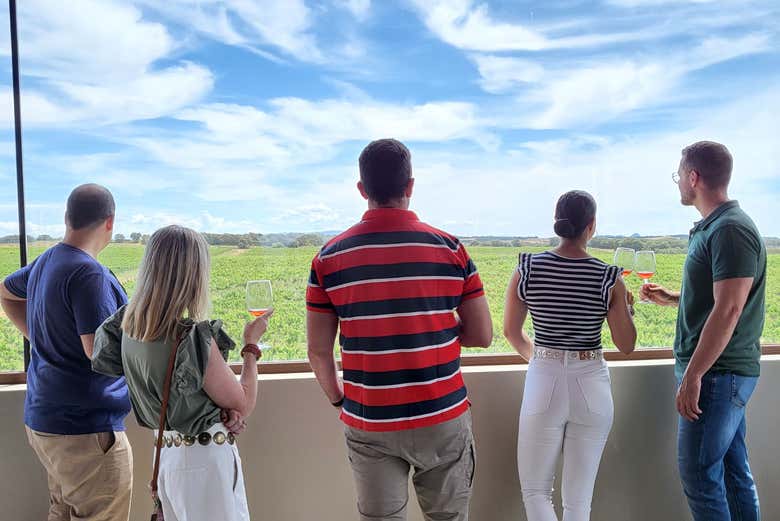 Visita a la bodega Idrias