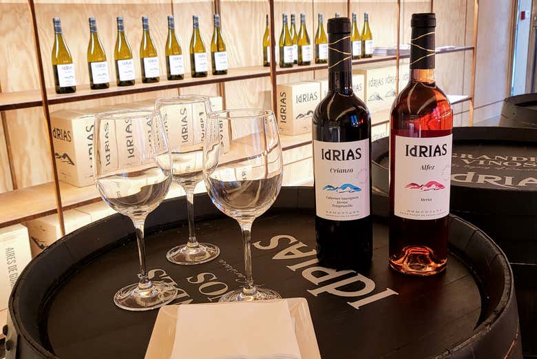 Visita a la bodega Idrias
