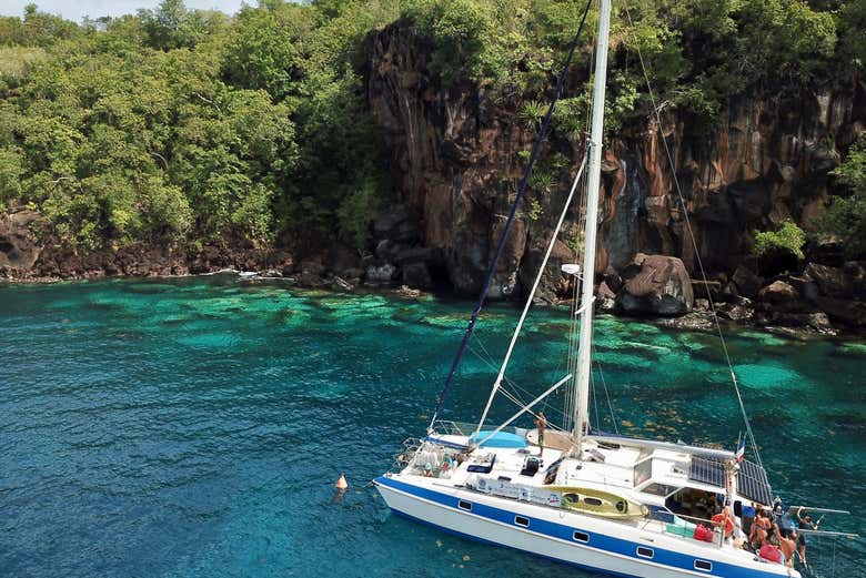Paseo en catamarán con avistamiento de tortugas
