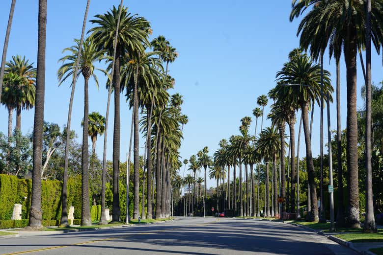 Tour por Hollywood y las Casas de los Famosos