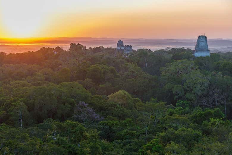 Excursión a Tikal sin entradas
