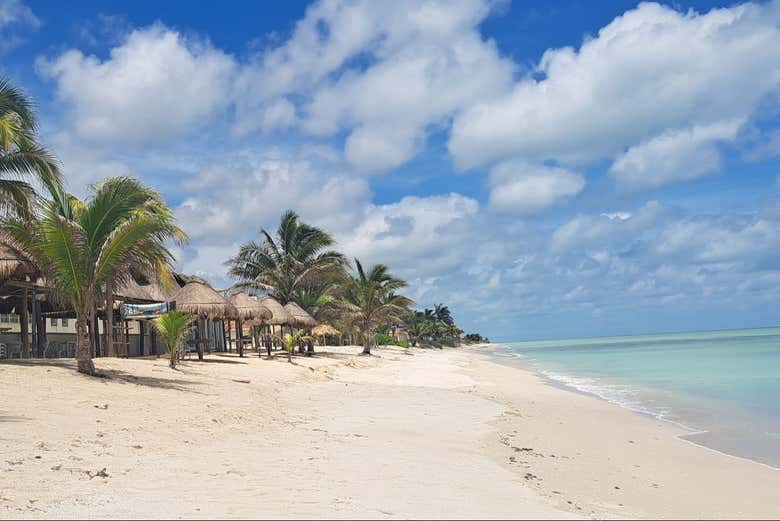 Excursión a Edzná y Bahía Tortugas