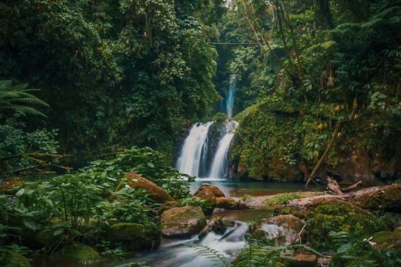 Excursión a Teziutlán, la Ruta de Cascadas y el Bosque de Bambú