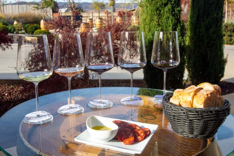 Visita a las Bodegas Martínez Alesanco