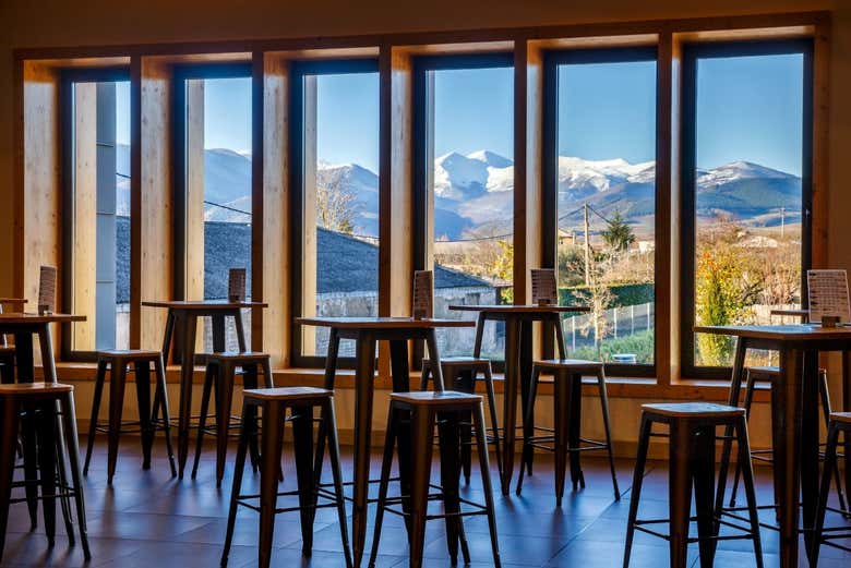 Visita a las Bodegas Martínez Alesanco