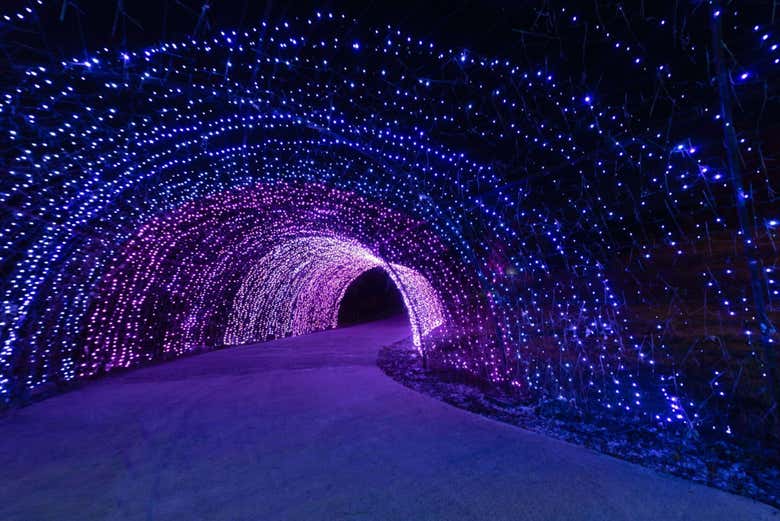 Entrada a Lumni Experience