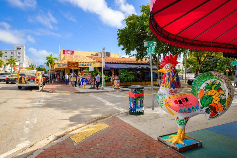 Excursión a Miami para cruceros