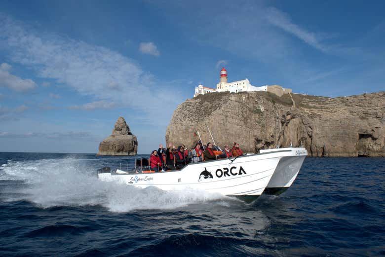 Avistamiento de delfines en Sagres