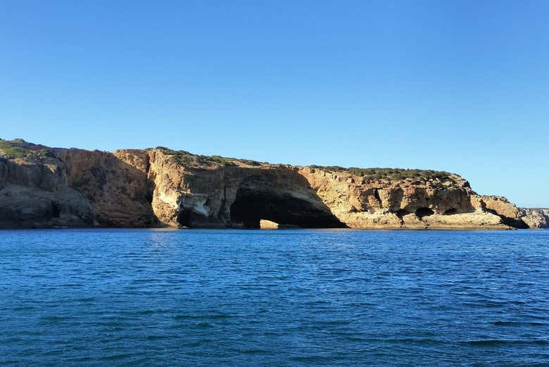 Avistamiento de delfines en Sagres
