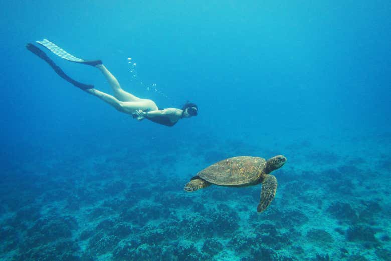 Snorkel en la playa de Anakena
