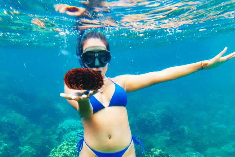Snorkel en la playa de Anakena