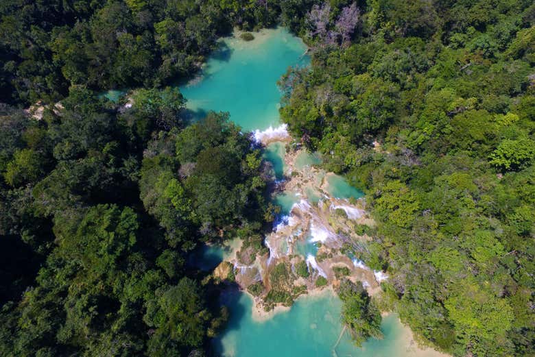 Tour por la zona arqueológica de Palenque + Ecoparque Aluxes o Cascada Roberto Barrios