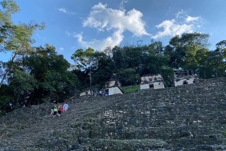 Excursión a la Selva Lacandona y Bonampak