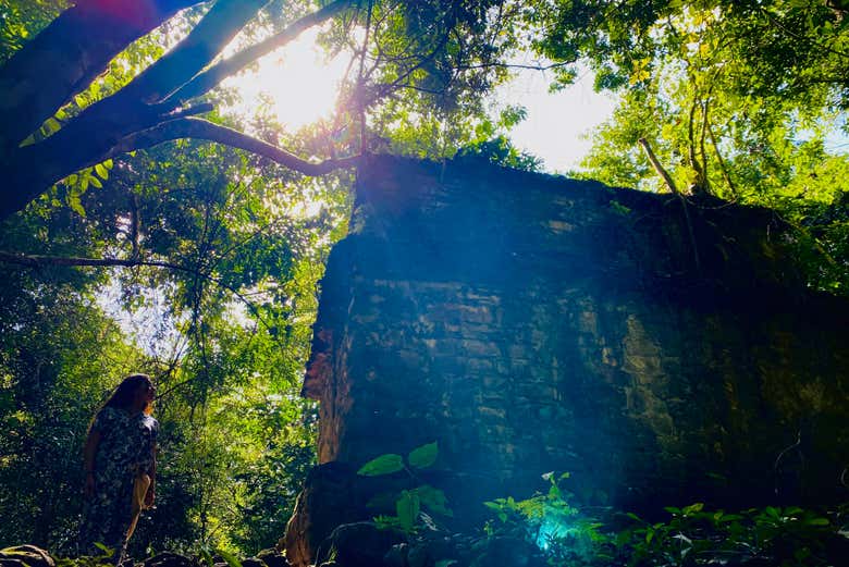 Excursión a la Selva Lacandona y Bonampak