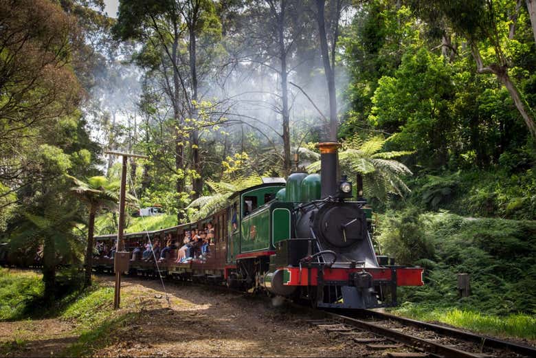 Tren Puffing Billy hasta el Emerald Lake Park