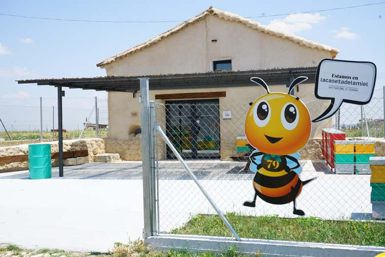Visita a una finca de apicultura