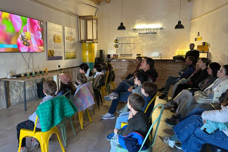 Visita a una finca de apicultura