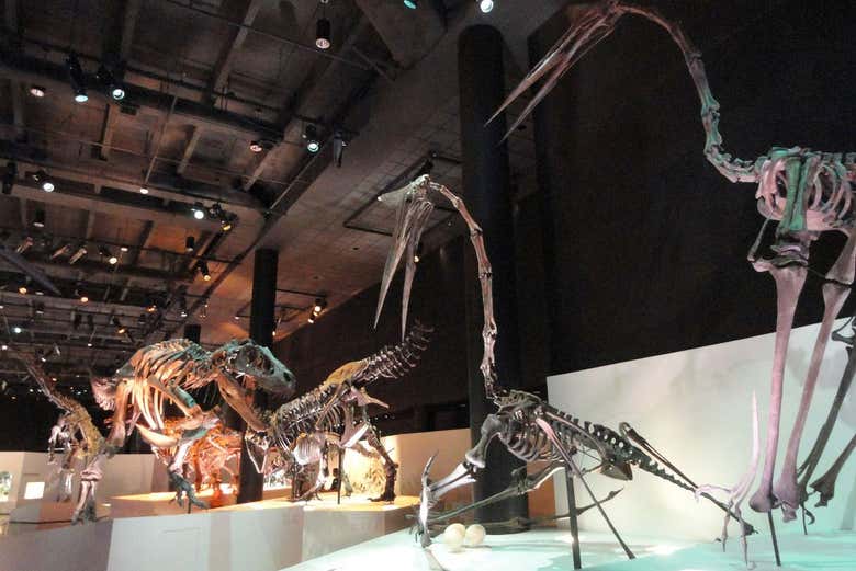 Entrada al Museo de Ciencias Naturales