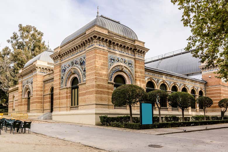 Visita guiada por el Parque de El Retiro