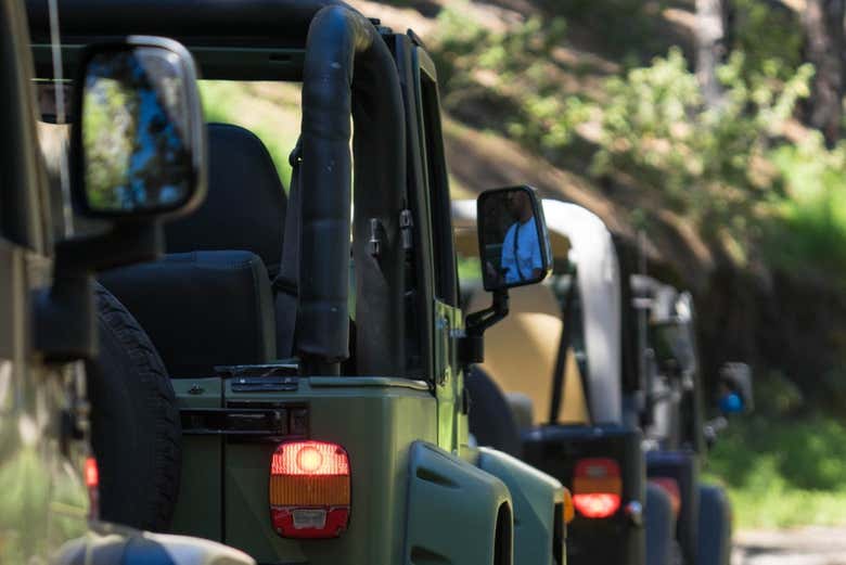 Tour en 4x4 por el centro y sur de La Palma