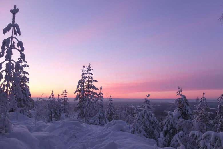 Paseo con raquetas de nieve por Luleå